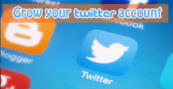 7 Strategies To Nurture Your Budding Twitter Account