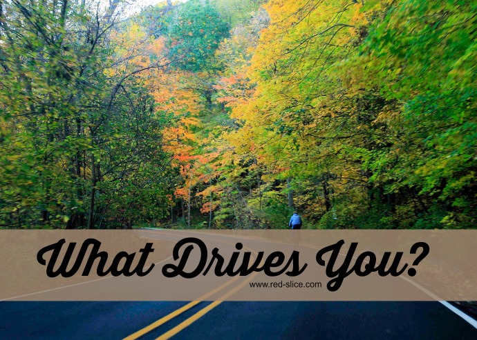 What Drives You?