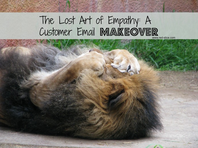 The Lost Art of Empathy: A Customer Email Makeover